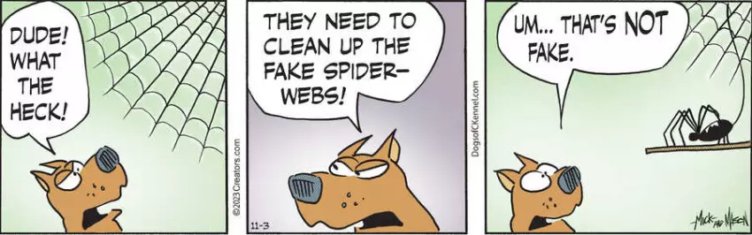 Dogs of C-Kennel for Nov 03, 2023