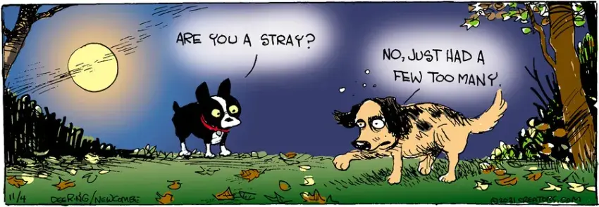 Zack Hill for Nov 04, 2021