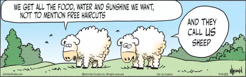 Wizard of Id for Nov 04, 2023