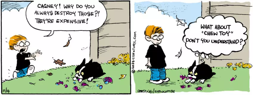 Zack Hill for Nov 04, 2023