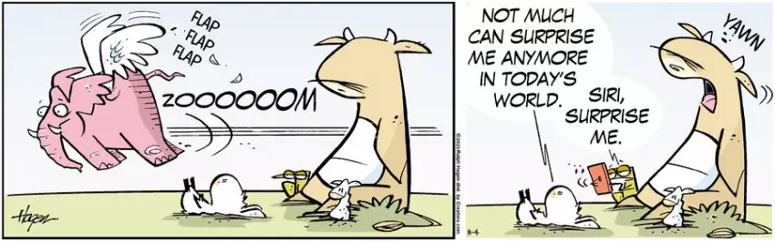 The Barn for Nov 04, 2023