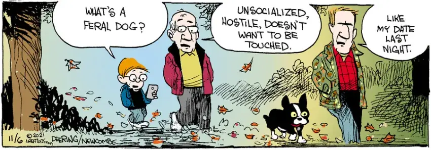 Zack Hill for Nov 06, 2021