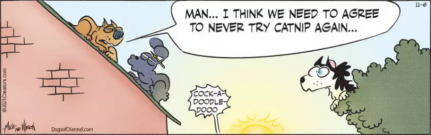 Dogs of C-Kennel for Nov 06, 2023