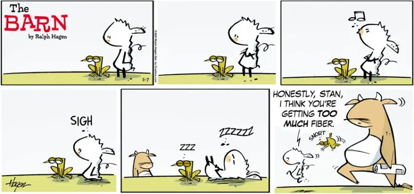 The Barn for Nov 07, 2021