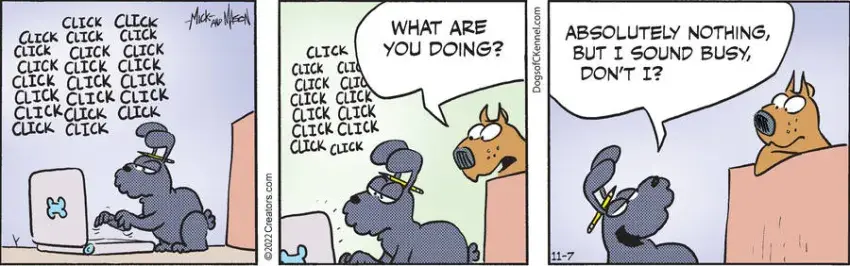 Dogs of C-Kennel for Nov 07, 2022