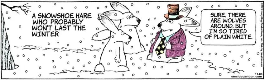 The Other Coast for Nov 08, 2021