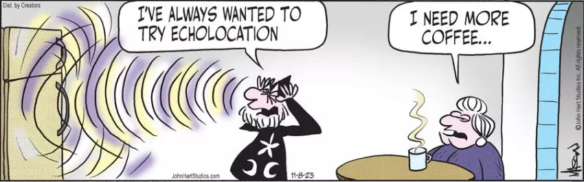 Wizard of Id for Nov 08, 2023