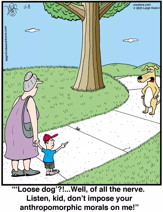 Rubes® for Nov 08, 2023