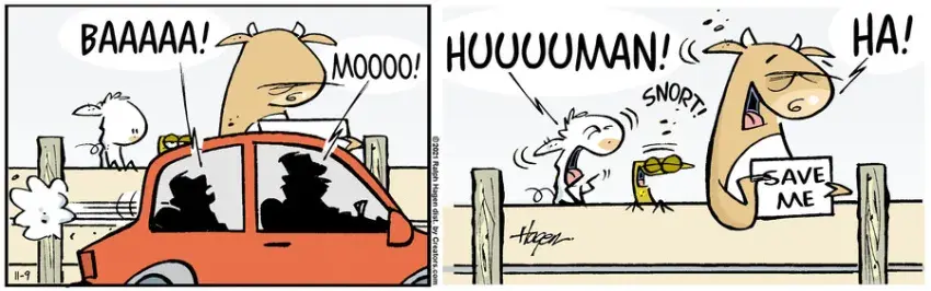 The Barn for Nov 09, 2021