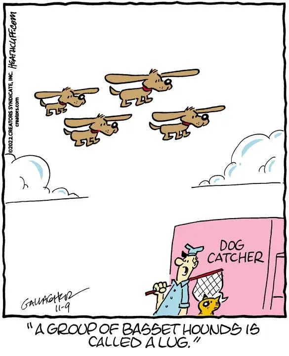 Heathcliff for Nov 09, 2022