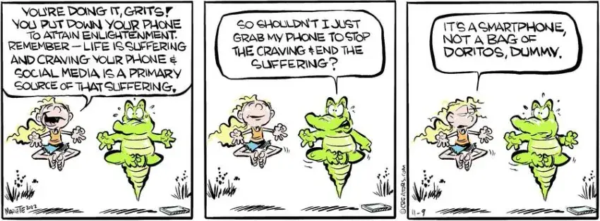 Shrimp and Grits for Nov 09, 2024