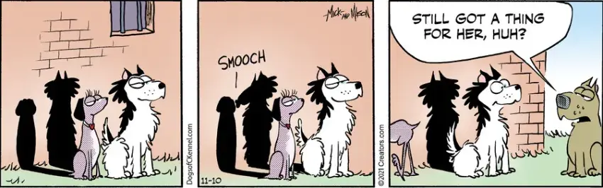 Dogs of C-Kennel for Nov 10, 2021