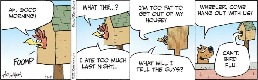 Dogs of C-Kennel for Nov 11, 2022