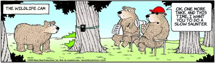 The Other Coast for Nov 11, 2023