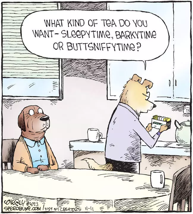 Speed Bump for Nov 11, 2023