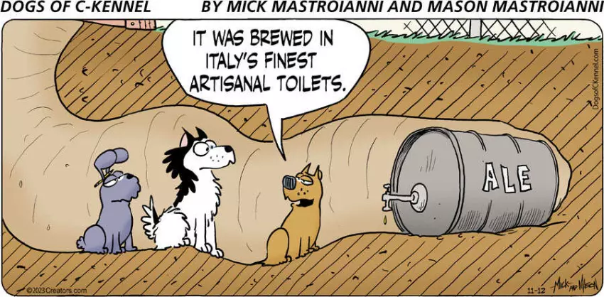 Dogs of C-Kennel for Nov 12, 2023
