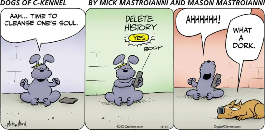 Dogs of C-Kennel for Nov 13, 2022