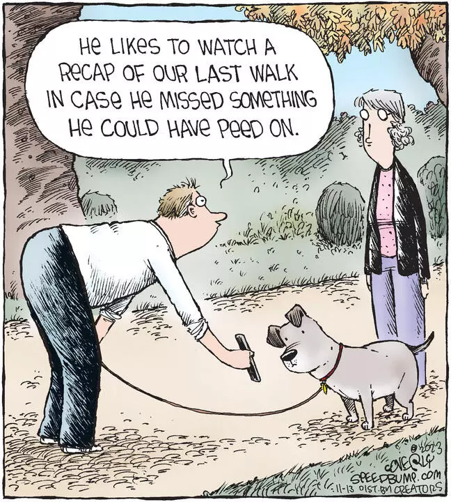 Speed Bump for Nov 13, 2023