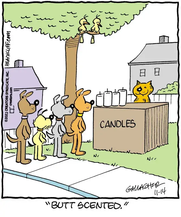 Heathcliff for Nov 14, 2022