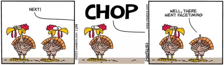 Diamond Lil for Nov 14, 2023