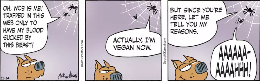 Dogs of C-Kennel for Nov 14, 2023