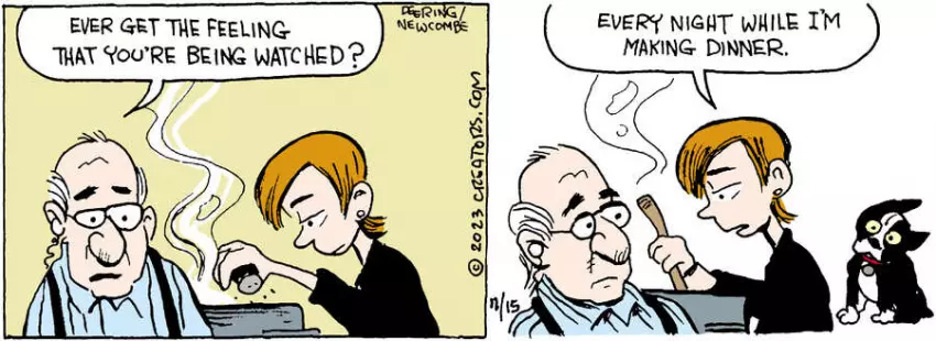 Zack Hill for Nov 15, 2023