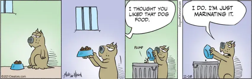 Dogs of C-Kennel for Nov 16, 2021