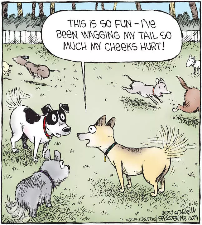 Speed Bump for Nov 16, 2023