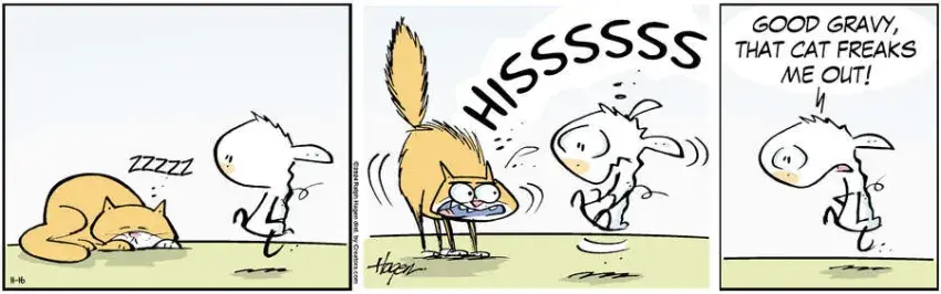 The Barn for Nov 16, 2024