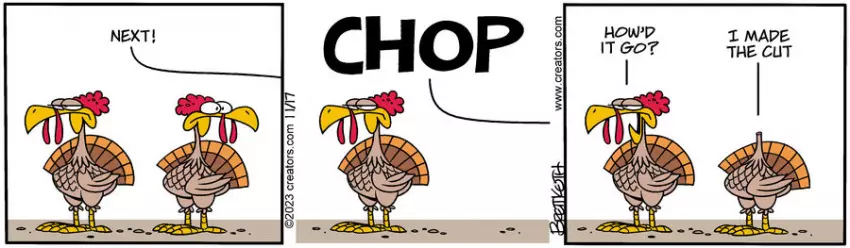 Diamond Lil for Nov 17, 2023