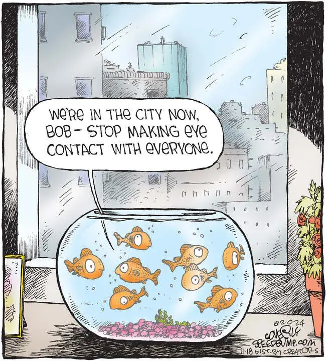 Speed Bump for Nov 18, 2024