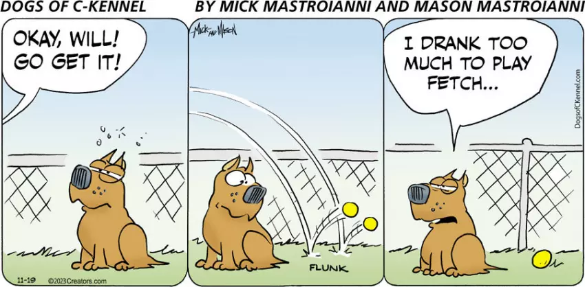 Dogs of C-Kennel for Nov 19, 2023