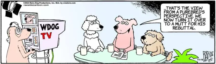 The Other Coast for Nov 19, 2024