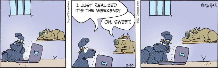 Dogs of C-Kennel for Nov 20, 2021