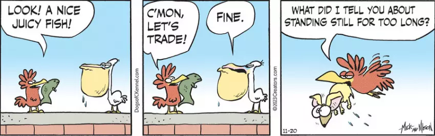 Dogs of C-Kennel for Nov 20, 2023