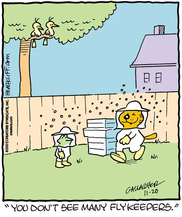 Heathcliff for Nov 20, 2024
