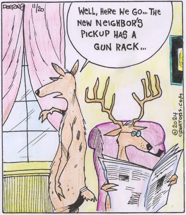 Strange Brew for Nov 20, 2024