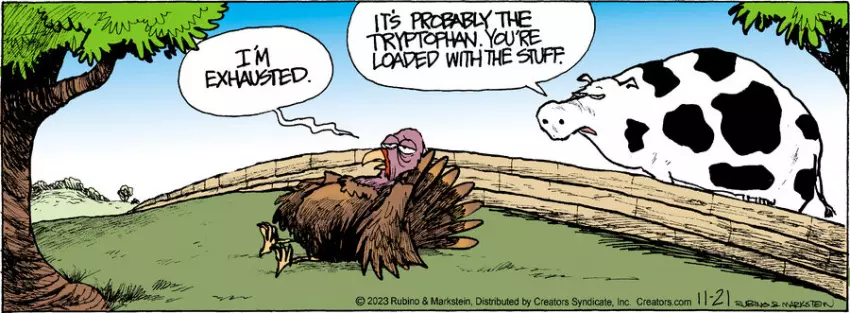 Daddy's Home for Nov 21, 2023