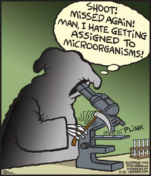 Free Range for Nov 21, 2023