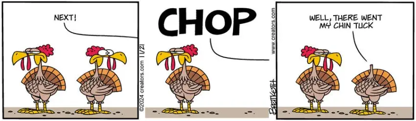 Diamond Lil for Nov 21, 2024