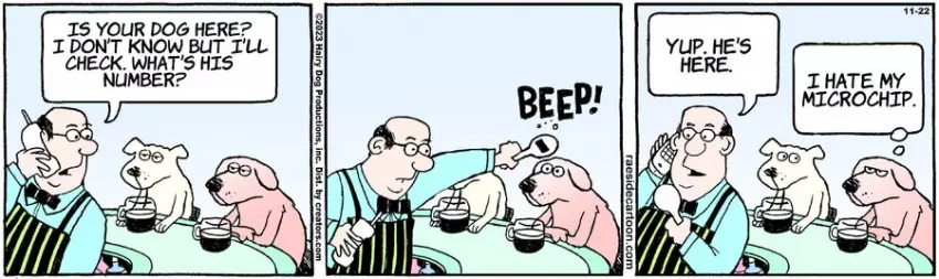 The Other Coast for Nov 22, 2023