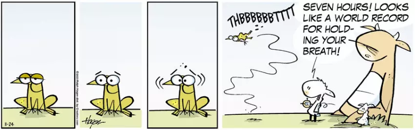 The Barn for Nov 24, 2023