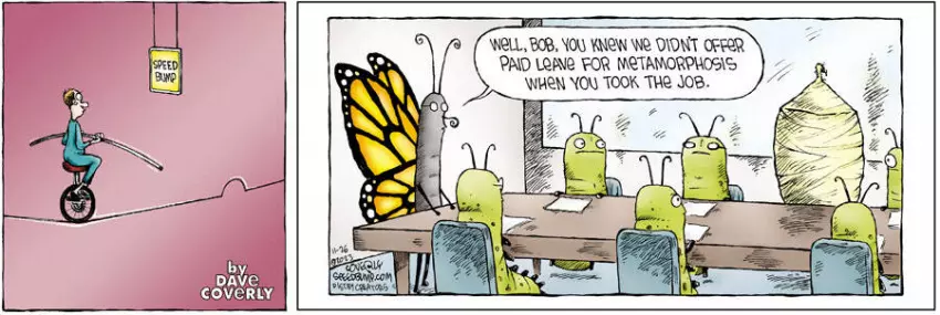 Speed Bump for Nov 26, 2023