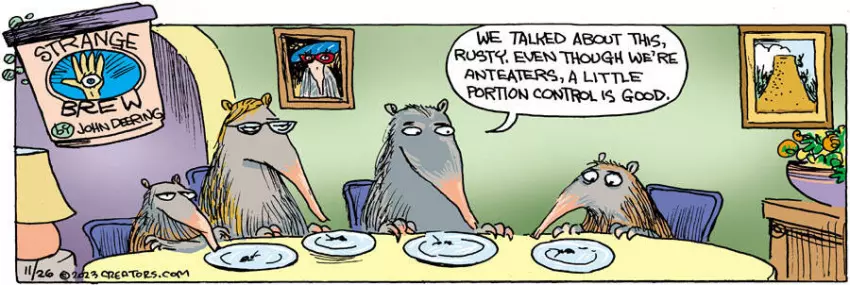 Strange Brew for Nov 26, 2023