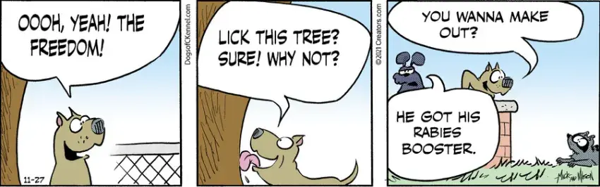 Dogs of C-Kennel for Nov 27, 2021