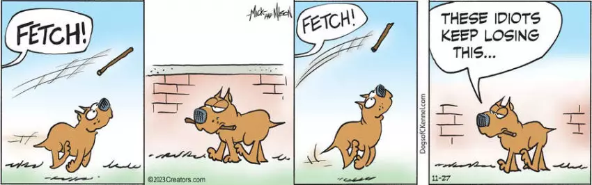 Dogs of C-Kennel for Nov 27, 2023