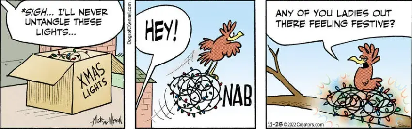 Dogs of C-Kennel for Nov 28, 2022