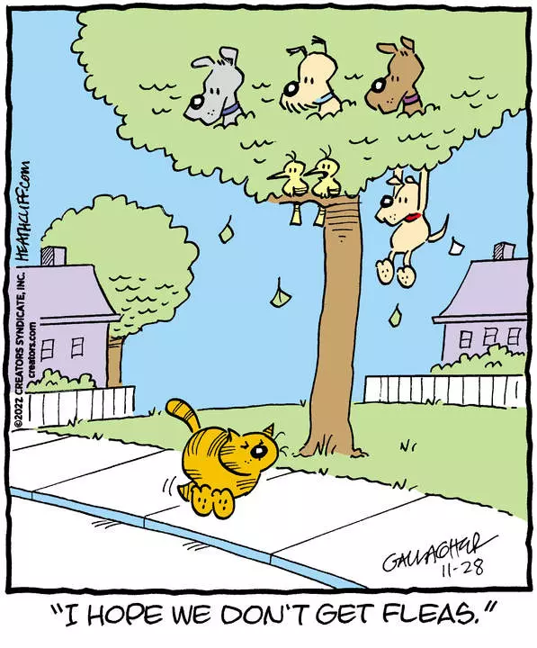 Heathcliff for Nov 28, 2022