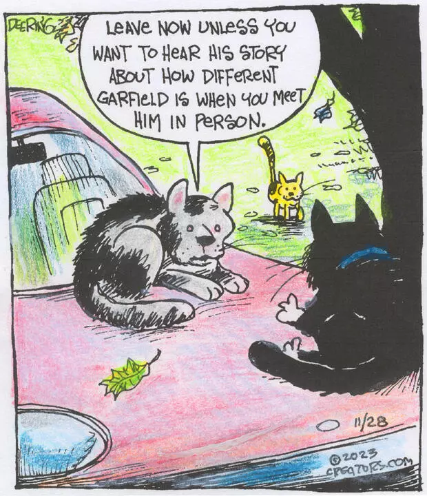 Strange Brew for Nov 28, 2023