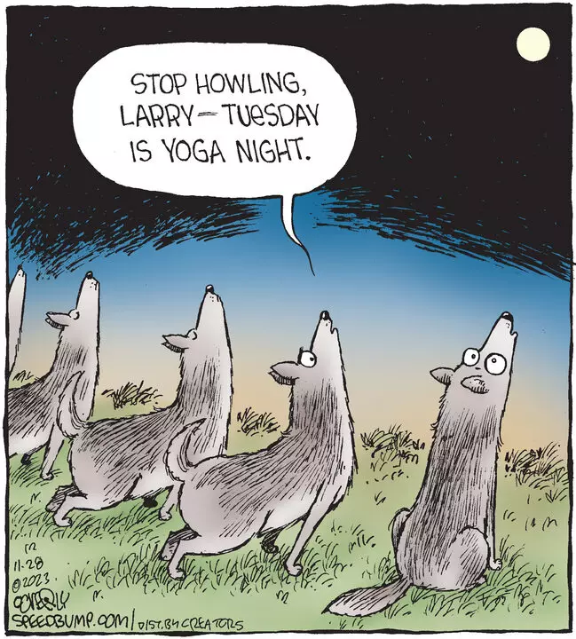 Speed Bump for Nov 28, 2023